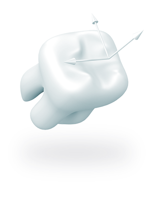 tooth1